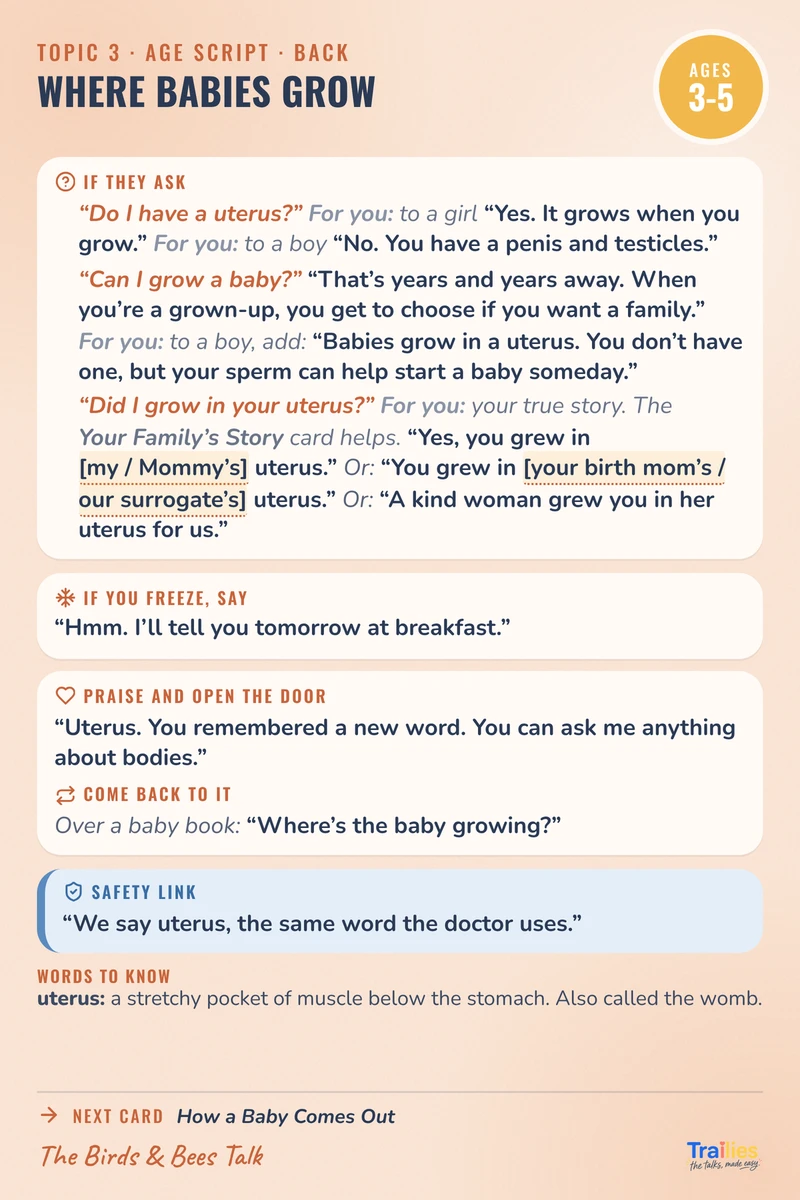 Where Babies Grow card, its back with follow-up questions