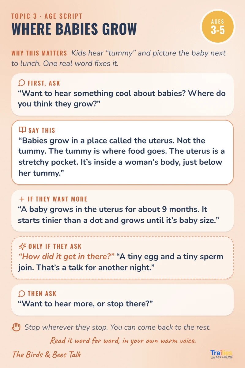 Where Babies Grow, ages 3-5 script card
