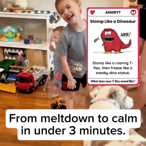 The Regulation Deck for Busy Brains